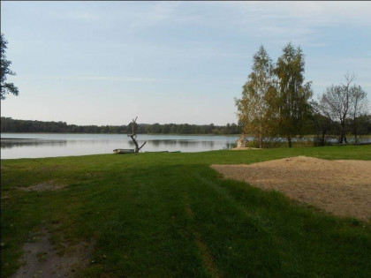 Działka Skolity