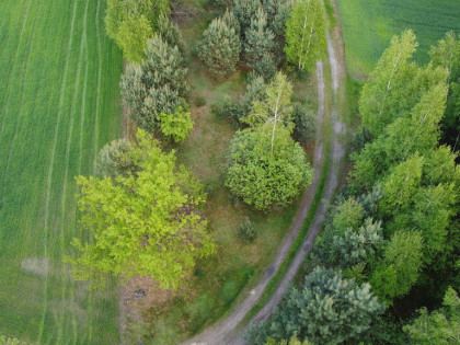 Działka o  pow. 1,63 ha w Karolowie gm. Chotcza.