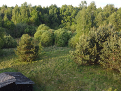 Nietypowa działka 2 ha w Kawęczynie gm. Ciepielów