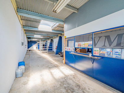 Lokal Opole