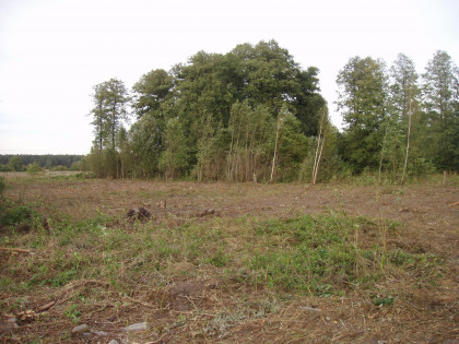 Działka Klembów
