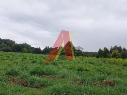 Działka Kleszczów ul. Kleszczów