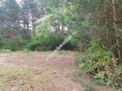 Okolice Grodziska Maz 1600m2 od mkwadrat.eu