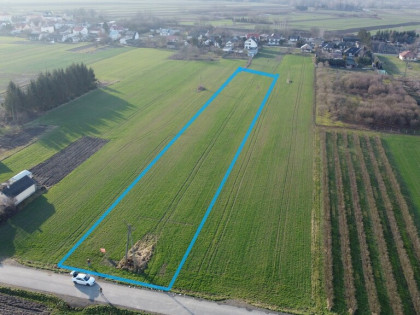 Działka rolno-budowlana 0,62 ha w Gołębiu k/Puław.