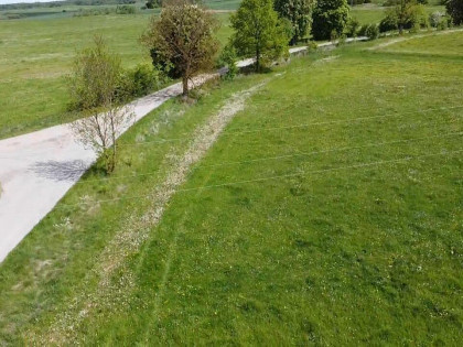 Działka Dobrzyki