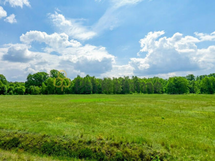Działka inwestycyjna Mieszków gm. Trzebiel,