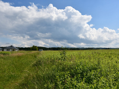 Działka inwestycyjna 81.7a w Krasne