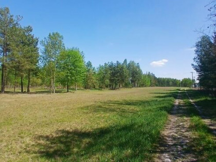 Działka budowlana przy lesie