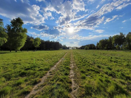 Działka BUDOWLANA Konary ul. Brzozowa 1500m2/ SOCHACZEW