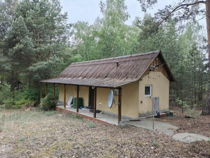 Syndyk sprzeda - Łacha