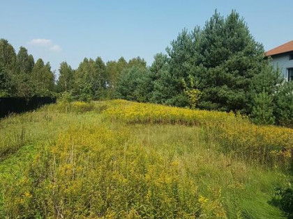 Działka rolno-budowlana
