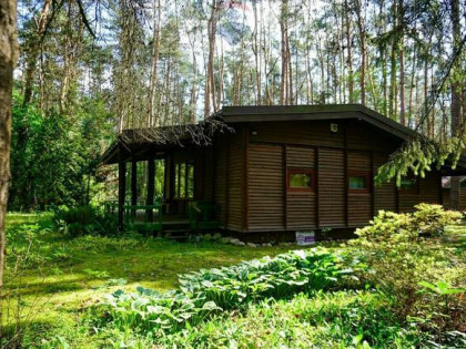 Leśna działka 2100 m² z domkiem | Radziejowice