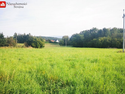 Działka Byszyce
