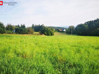 Działka Byszyce