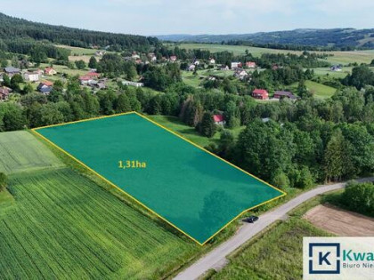 Działka rolna Krasna gm. Korczyna,