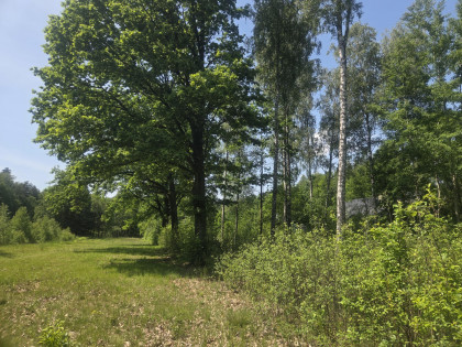 Działka Wiązowna