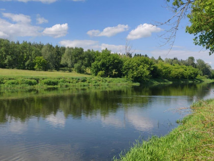 Działka Bronowo
