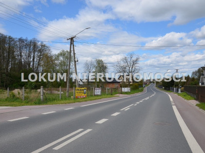 Działka Dąbrowa Tarnowska Bagienica ul. Szarwarska