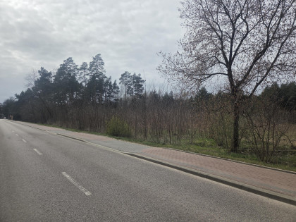 Działka Wiązowna