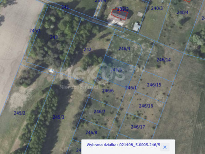 Działka 1007 m² z WZ, blisko Doliny Baryczy i tras