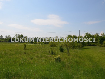 Działka Dąbrowa Tarnowska Ulinów ul. Ulinów