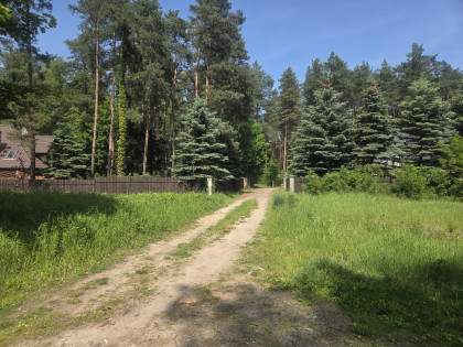 Działka Wiązowna