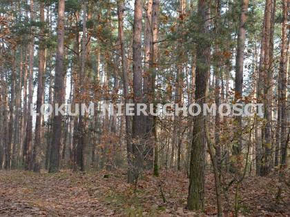 Działka Gruszów Wielki