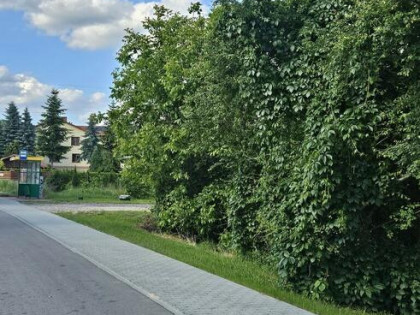 ???? Wyjątkowa działka budowlana Dąbrowa, gm. Masłów