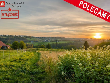 Działka Chorągwica