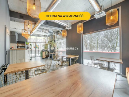 Lokal użytkowy Kraków Dębniki, Kliny, Borkowska
