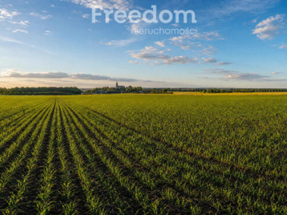 Działki rolne o łącznym areale 3,120 ha  Pogorzela