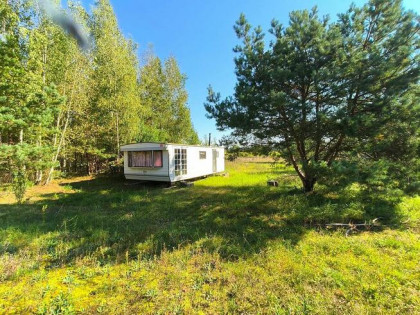 59 arów na Kurpiach - OKAZJA 33 zł/m²