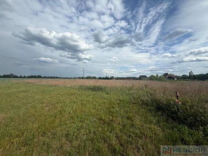 Działka 1200 m2 Pustelnik