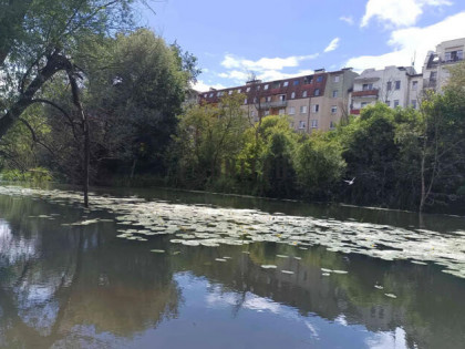 Okolice ul. Mierniczej