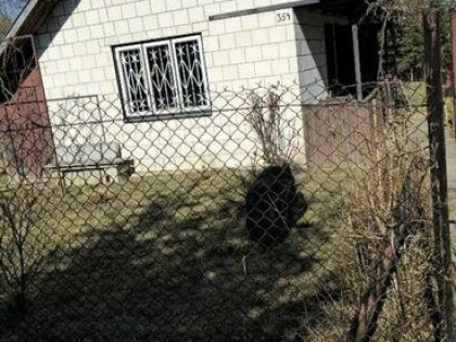 Działka ROD Radom sprzedaż
