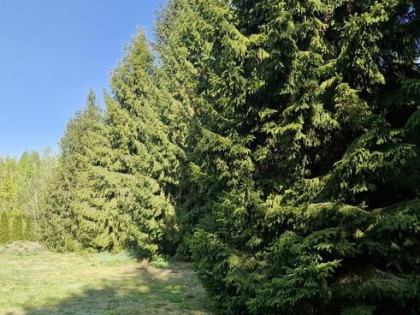 Działka budowlana Pasikonie 1173m2