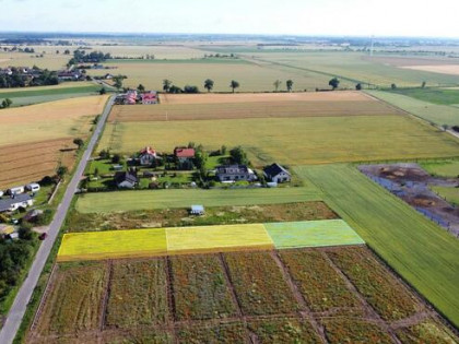 Działka budowlana Tarnowo Podgórne, Brzezno