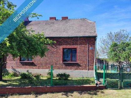 Dom z cegły z dużą działką + budynki gospodarcze