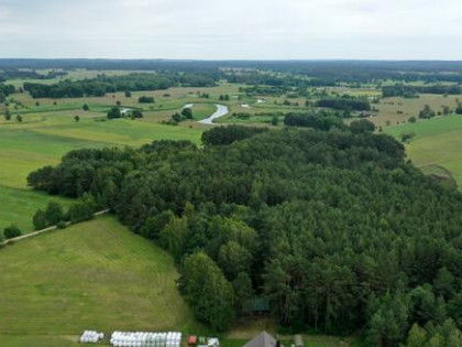 Dom Cieciory gm. Turośl