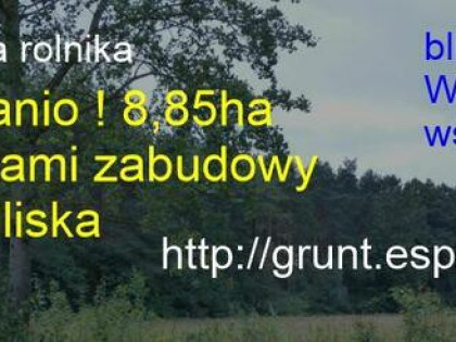 Prawie 9ha z warunkami zabudowy