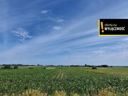 Działka budowlana Sielec gm. Staszów,