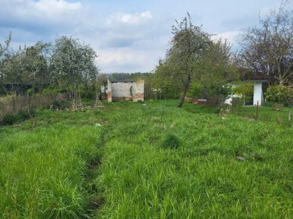 Ogródek działkowy w Trzebiatowie