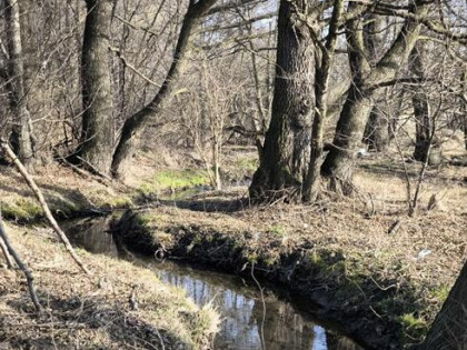 Działka rolna Żywiec,