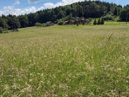 Działka budowlana Tarnawa Dolna gm. Zembrzyce