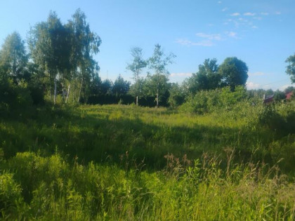 Sprzedam działki ok. 35 km od Warszawy