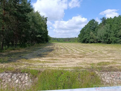 Działka rolna Błogoszcz