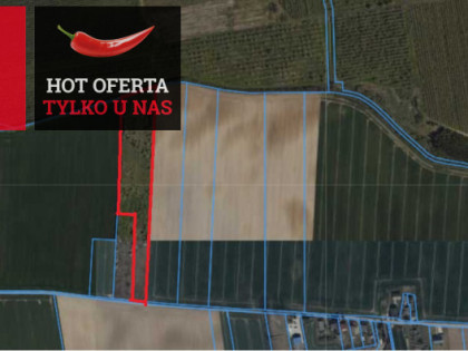 Działka Bałdowo ul. Czesława Miłosza
