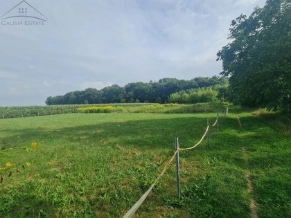 Działka Marchwacz-Kolonia