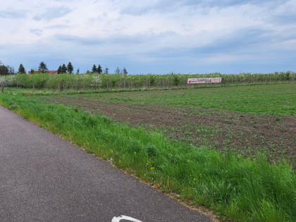 Działka Kolnik ul. Dwie Topole