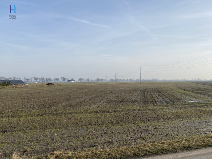Działka Uniejów ul. Polna